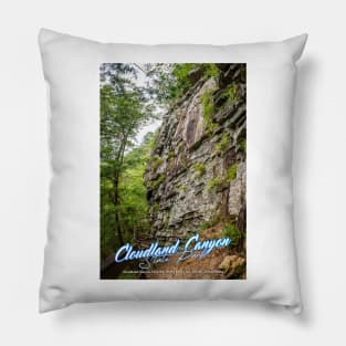 Cloudland Canyon State Park Pillow