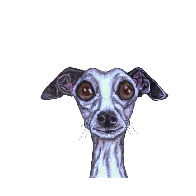 ITALIAN GREYHOUND by haresandcritters