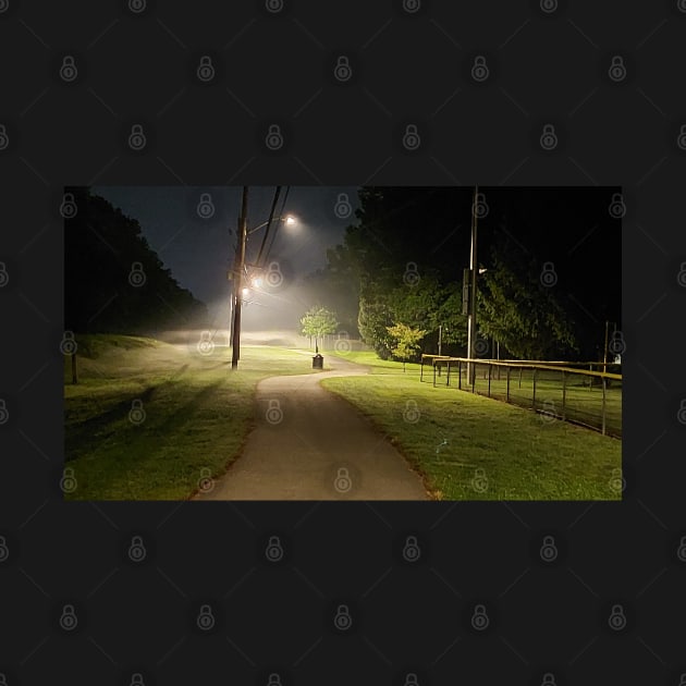 Night stroll at the park by Slynado