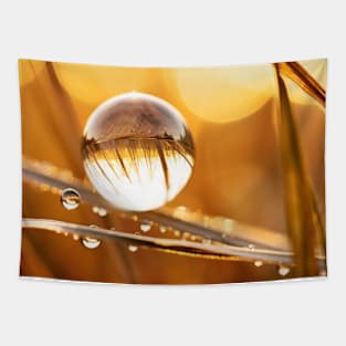 Wheat Water Drop Nature Serene Tranquil Tapestry