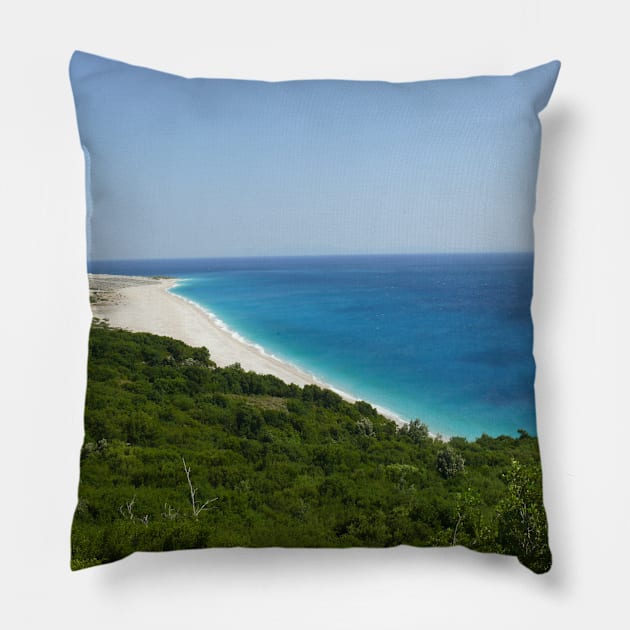 Wild beach Pillow by NatureFan