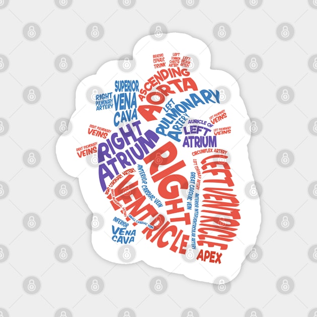 Anatomical Heart Typography Magnet by FanaticTee