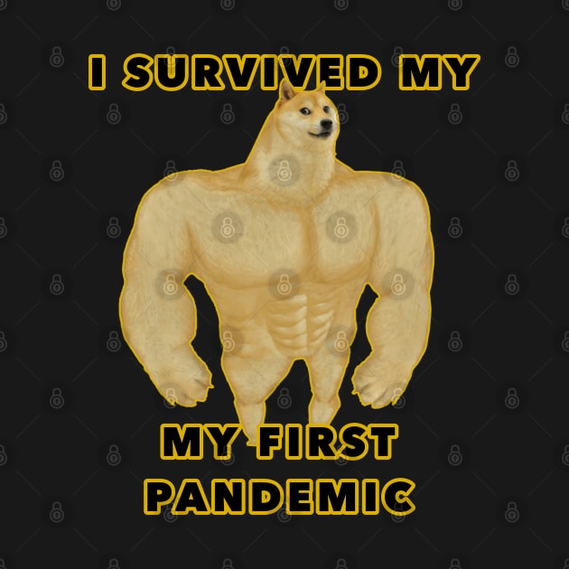 I survived my first pandemic by AngelsFANART