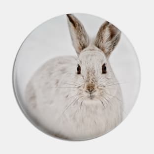 Snow Shoe Hare Pin