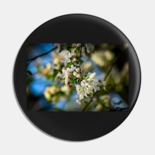 Blossoms of Spring Pin