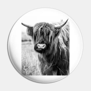 Highland Cow Portait, black and white Pin