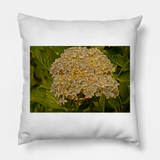 121115 mums the word Pillow