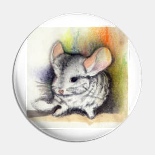 cute chinchilla 5 Pin