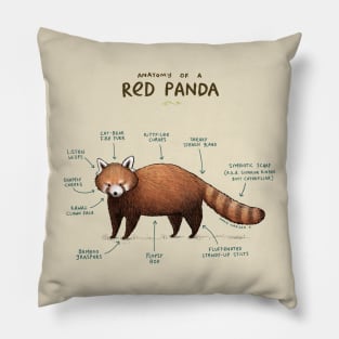 Anatomy of a Red Panda Pillow