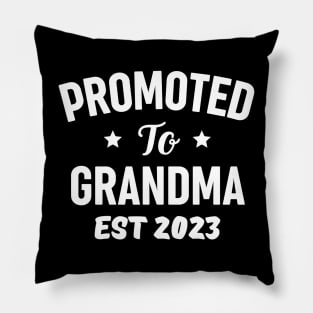 Funny Grandma 2023 Gift Idea Pillow