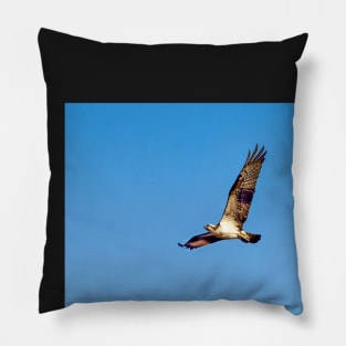 "Osprey" Pillow