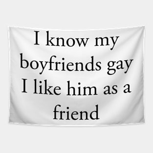 I KNOW MY BOYFRIEND IS GAY Tapestry