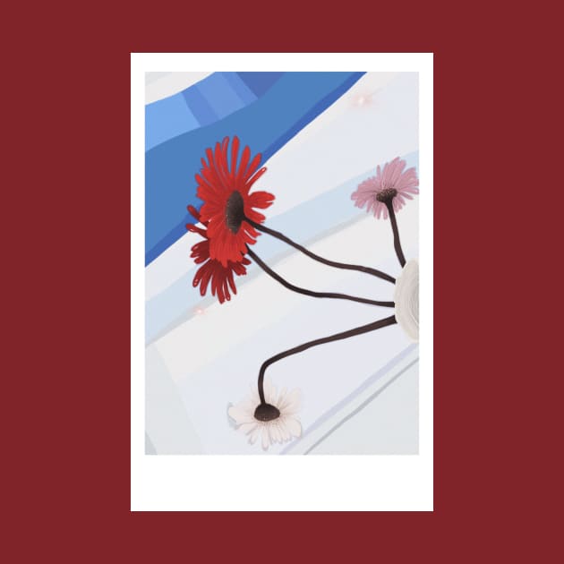 Red flowers in blue room, Red daisy flower, Polaroid cute flower by Tapood