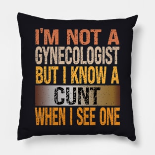 I'M Not A Gynecologist But I Know A Cunt When I See One Vintage Pillow