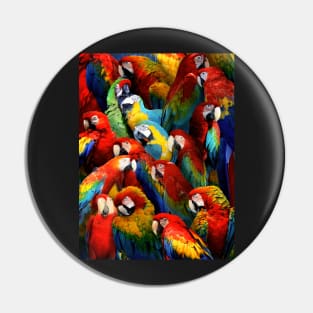 Parrots Pin