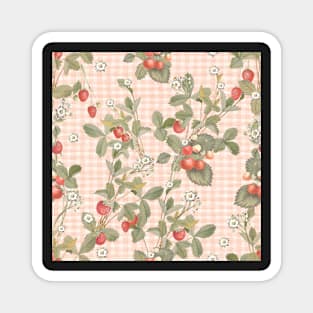 Vintage strawberries on pink gingham Magnet