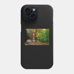 Mountain trail in the forest Phone Case