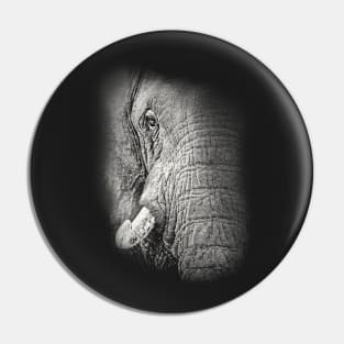 African Elephant Close-up Pin