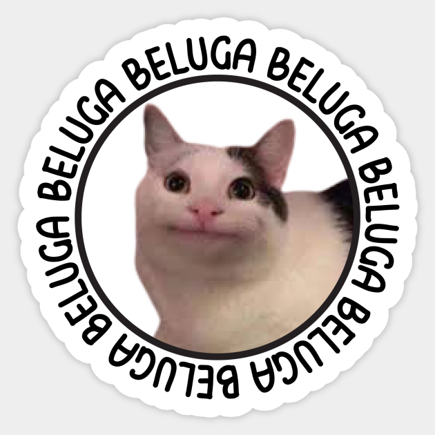 beluga cat discord meme - Beluga Cat Discord Meme - Sticker | TeePublic
