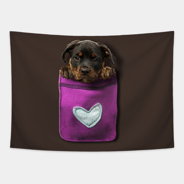 A puppy in my pocket Tapestry by inshapeuniverse