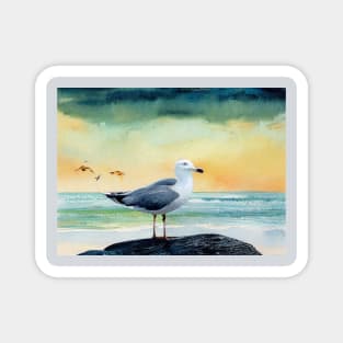 Seagull on a Rock Magnet