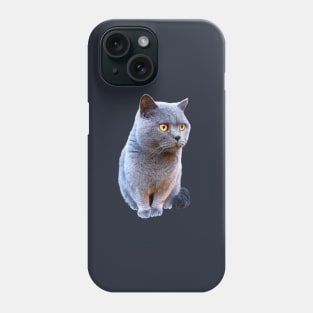 British Shorthair Cat Blue Phone Case