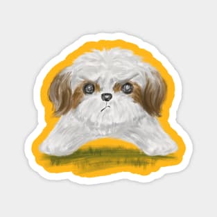 Grumpy Shih Tzu Magnet