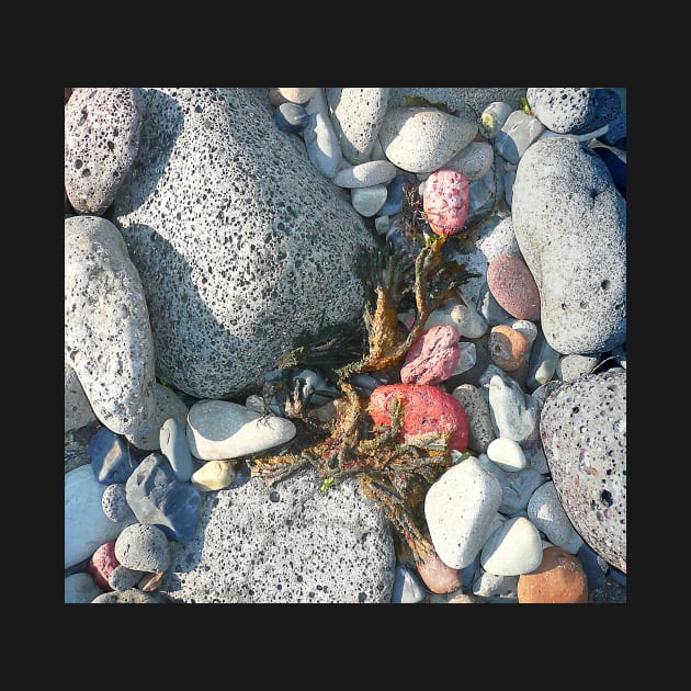 Rocks and Seaweed stilllife by rozmcq