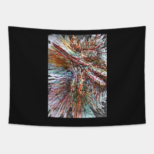 Colorful Hand Tapestry