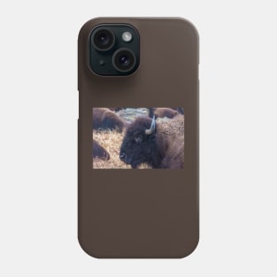 American Bison Woolaroc Oklahoma Phone Case