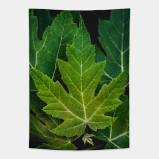 Farewell Green Leaves. Nature Photography Tapestry