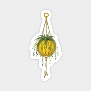 Macrame plant hanger Magnet