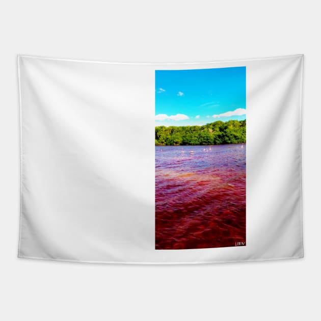 celestun ria wetland ecopark ecopop landscape photo in yucatan flamingo kawaii Tapestry by jorge_lebeau