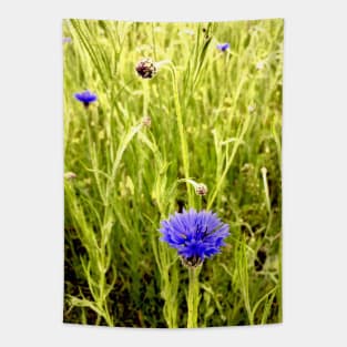 Blue Cornflower on a Field Tapestry