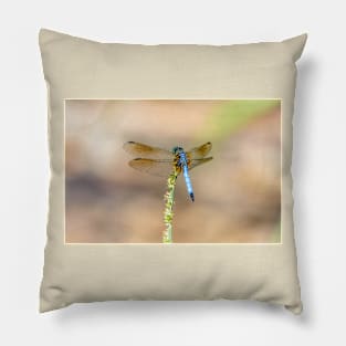 Blue Dragonfly Pillow