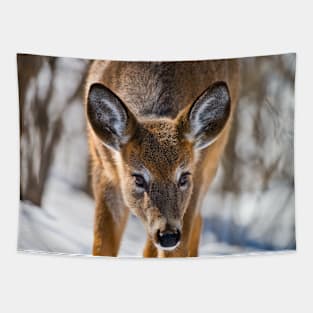 White-tailed Deer Tapestry