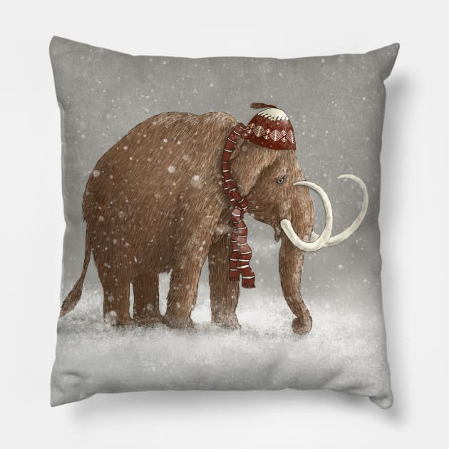 The Ice Age Sucked Pillow by Terry Fan