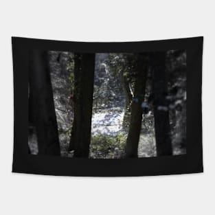 snowy Oregon forest 6 Tapestry