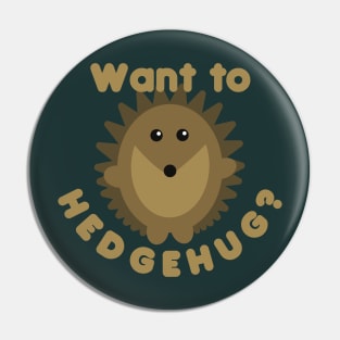 Want To Hedgehug? Hedgehog Pun Pin
