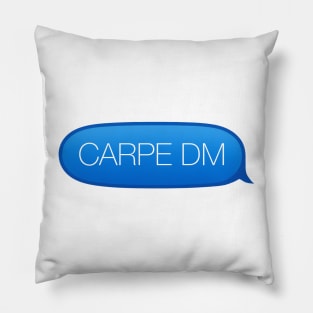 Carpe Diem - Seize the Opportunity to Direct Message Me Pillow