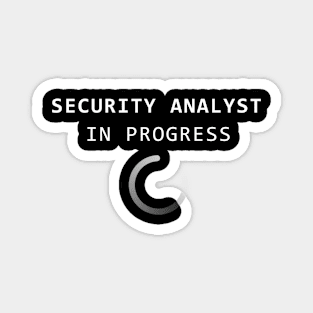 Security Analyst in Progress Magnet