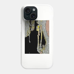 The Break Phone Case