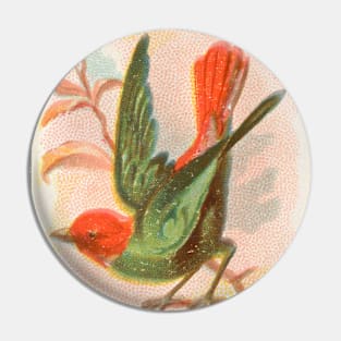 Parrot Finch Pin