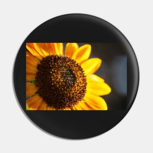 Sunflower Series VIII Pin