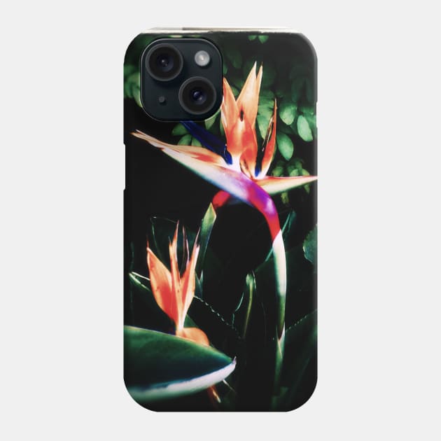 Bird of Paradise Phone Case by csturman