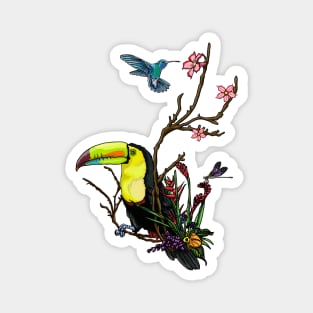 Toucan Magnet