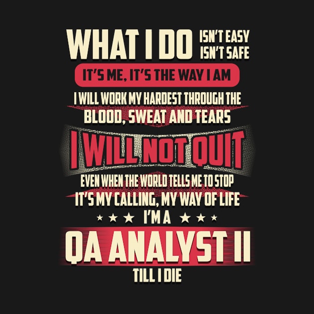 Qa Analyst Ii What i Do by Rento