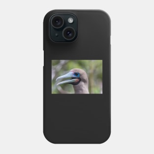 Red Footed Booby Phone Case