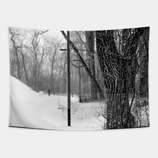 Park in Black and White. Tapestry