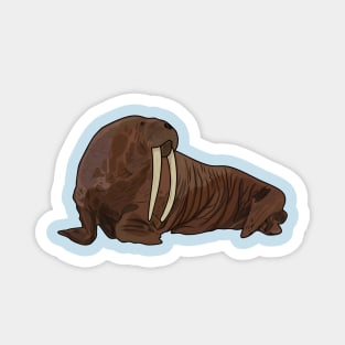 Walrus cartoon illustration Magnet